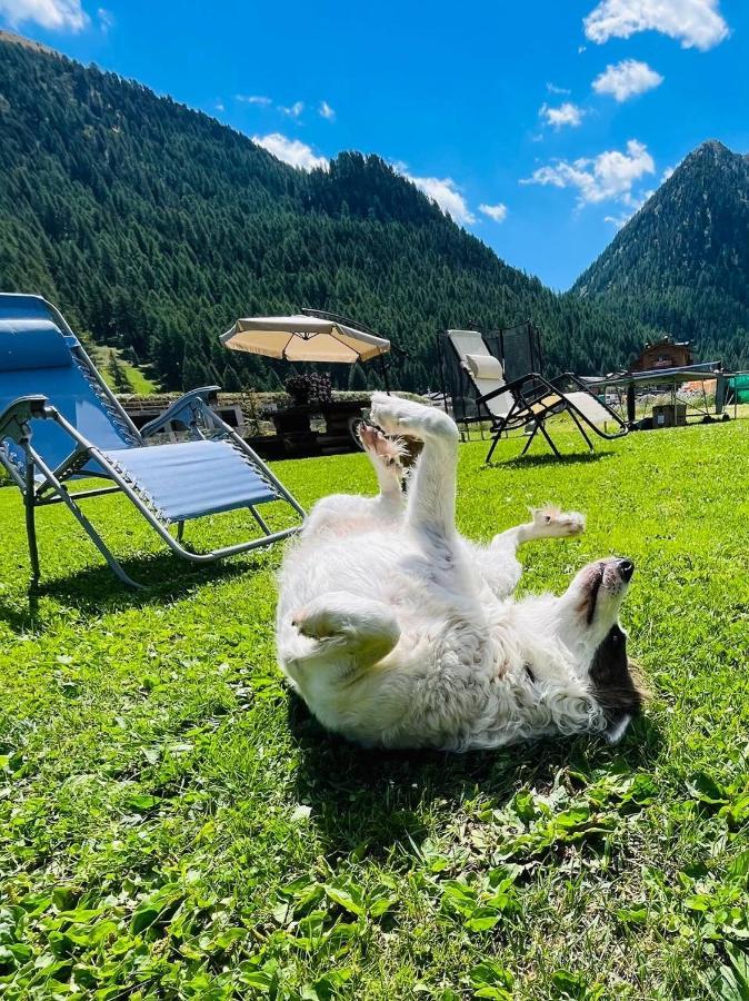 Appartement Sunshine Livigno